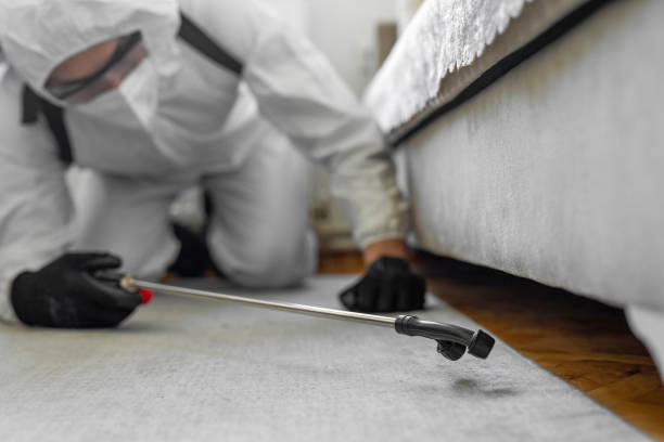 Professional Ant Control technician working in Hannahs Mill, GA