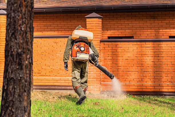 Trusted Rodent Control service in Hannahs Mill, GA - Nex Pest Control